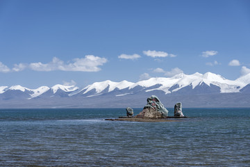 瑰丽青海