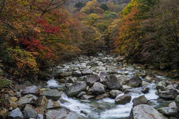 陕西光雾山