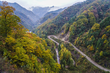 陕西光雾山