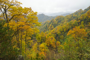 陕西光雾山