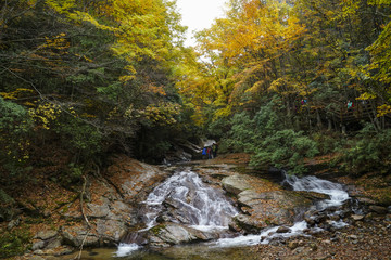 陕西光雾山