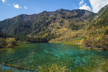 陕西光雾山