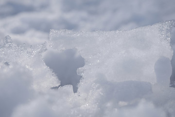 雪地