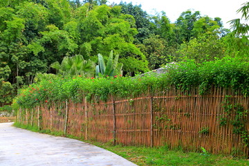 竹篱笆围墙