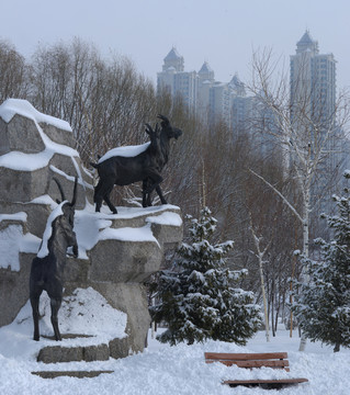 雪景