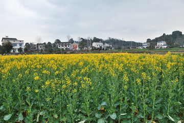 航拍美丽乡村