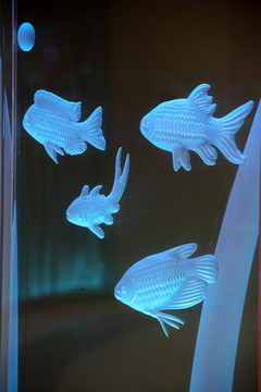 鱼玻璃浮雕