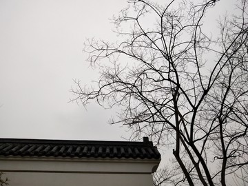 建筑一角