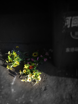 垃圾桶边被丢弃的花
