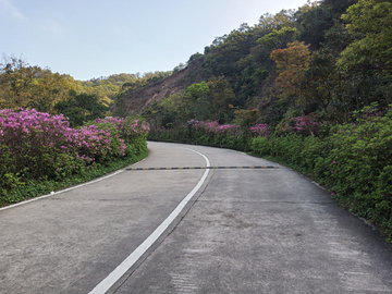 风景区旅游公路