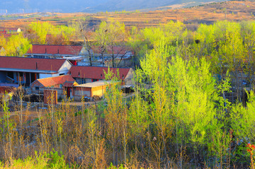 美丽的小山村