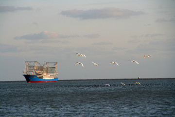 海阔天空