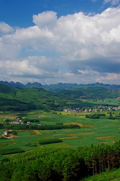 绿色乡村风景