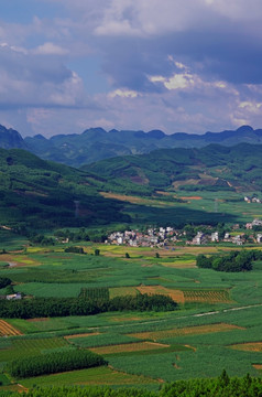 绿色乡村风景