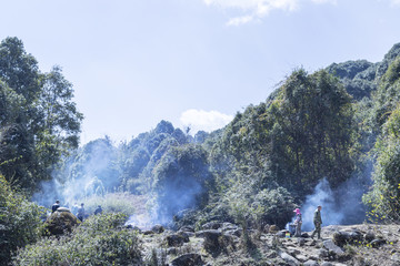 野餐