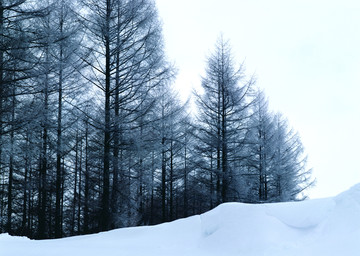 雪山雪景