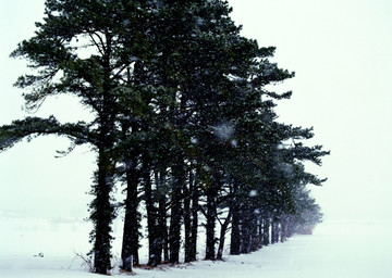 雪山雪景