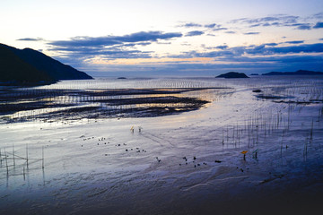 霞浦滩涂