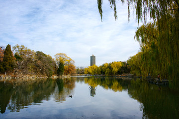 北京大学未名湖