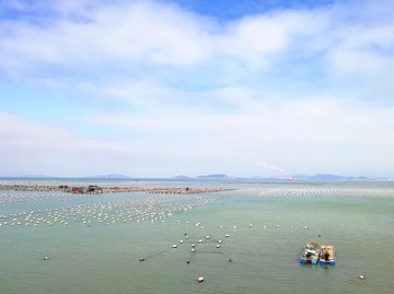 南奥岛海景
