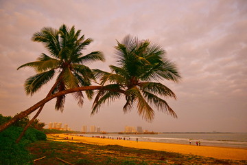 海南风景