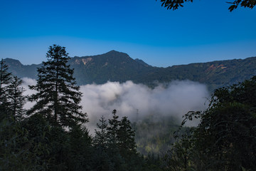 大山雾景