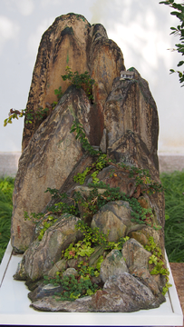 假山石盆景造型