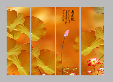 国画荷花