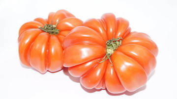 南瓜形番茄