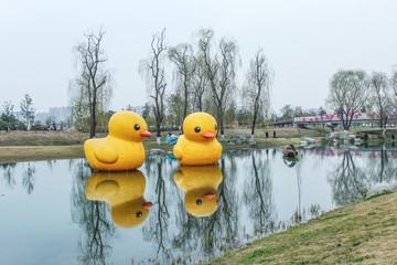 成都湿地公园