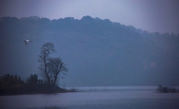 清晨湖畔