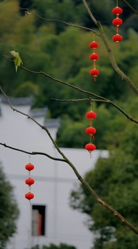 红灯笼
