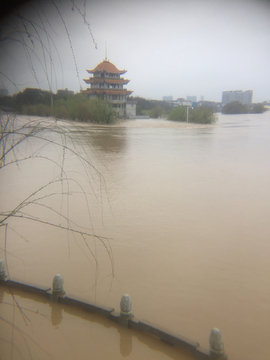 道县洪水2019年