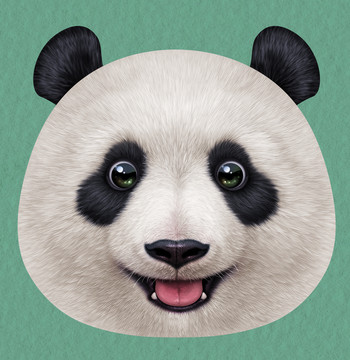 3D熊猫立体抱枕