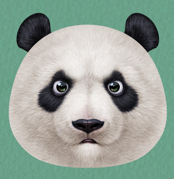 3D熊猫立体抱枕