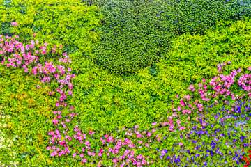 鲜花植物墙