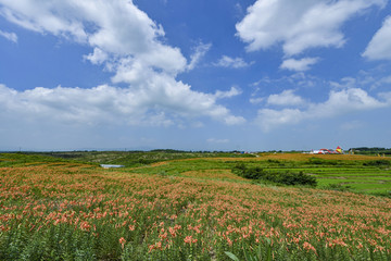 蓝天大地