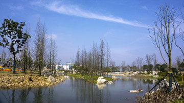 银星湾公园风景