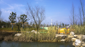 银星湾公园风景