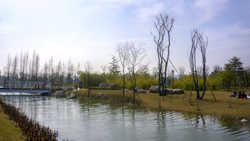 银星湾公园风景