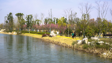 银星湾公园景区
