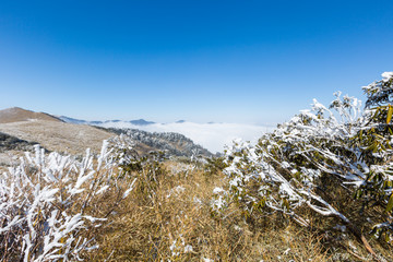 神农架雪景