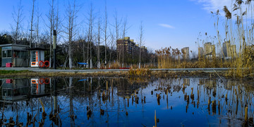 真山公园风景