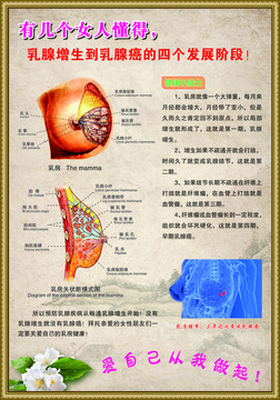 中医养生乳房防护A004