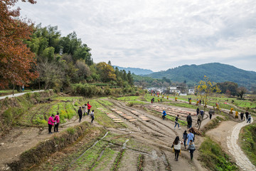 塔川