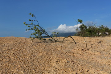 山风