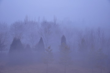 迷雾清晨