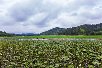 田园的诗和远方