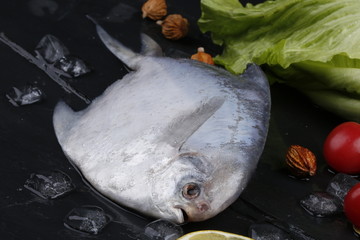 鳊鱼扁鱼银鱼银鲳海鲜海味镜鱼