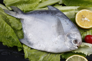 鳊鱼扁鱼银鱼银鲳海鲜海味